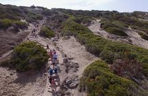 Jeep Safari Akamas from Paphos