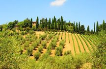 San Gimignano, Siena, Monteriggioni: Fully Escorted Tour, Lunch & Wine Tasting