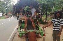 Sigiriya city tour from Negombo & Colombo with traditional Lunch.