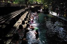 Bali Purification Ritual