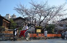 Private & Unique Kyoto Cherry Blossom "Sakura" Experience