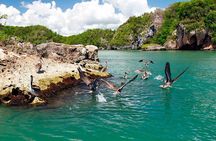 Los Haitises Plus Bacardi Island for Samana Cruise Ship Travelers