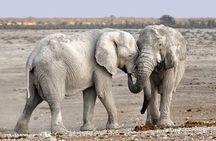 2 Days Group Joining Camping Safari Tarangire Park and Ngorongoro Crater