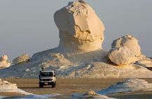 One Night Camping In White & Black Deserts Baharaya Oasis From Cairo