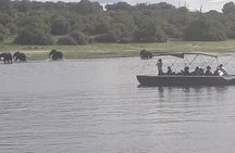 Chobe Day Trip Starting From Victoria Falls