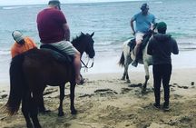 Sunset beach horsebackriding Punta Cana 