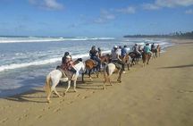 Punta Cana Beach Horseback Riding
