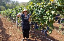 National parks and wine tasting (NP Lovcen, NP Skadar lake, Cetinje, Njegusi)
