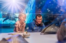 Whales Of Iceland Admission Ticket