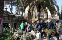 West Bank Tour from Bethlehem and Jerusalem - Bethlehem & Jericho