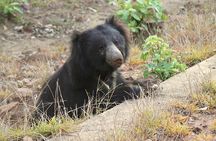Visit Bear Rescue Center From Agra