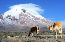 10-Day Ecuador Highlights