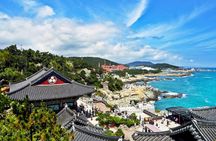 Cruise Layover : Small Group Busan Highlight Day Tour 