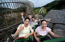 Private 4 days Nami Island&Petite France&Seoul&Everland tour