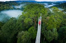 Monteverde Cloud Forest privateTour