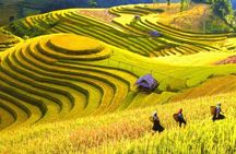 3-Night Sapa Trek and Homestay with Round Trip Transfer from Hanoi