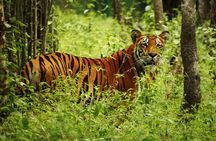 Nepal at a Glance Luxury -11 Days