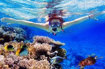 Bali Menjangan Island Snorkeling Day Tour