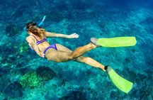 Bali Menjangan Island Snorkeling Day Tour