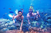 Bali Menjangan Island Snorkeling Day Tour