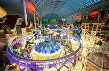 Private Tour to Lotte Tower, Aquarium and Lotte world Theme park