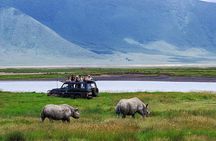 1 Day Joined Group Safari in Ngorongoro Crater National Park