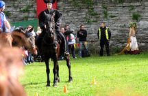 Tallinn Highlights Shore Excursion With Port Return Transfer