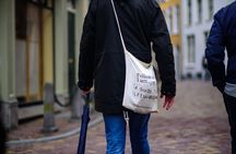 Private Walking Tour through Leeuwarden