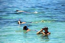 Exclusive Private Catamaran Adventure: Ile aux Cerf (Full Day Cruise incl Lunch)