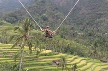 Jatiluwih rice terraces,ulundanu and sekumpul waterfall trips
