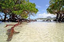 Catamaran Experience to Ile aux cerf: incl: Parasailing, Lunch, GRSE & Transfer