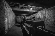 Private Cu Chi Tunnels & Mekong Delta 1 Day Tour