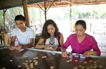 2-Day Small Group Cu Chi Tunnels, City Tour and Mekong Delta