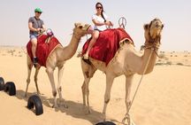 Dubai Desert Safari with Dinner in PRIVATE 4x4 Vehicle