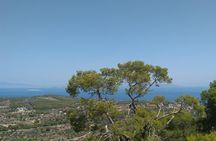 Aegina Island St Nektarios & Temple of Athina Aphaia Private Tour