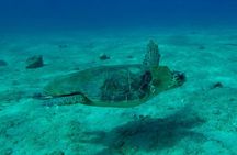 Private Boat Tour to Kekova and Sunken City From Antalya Incl.Transfer 