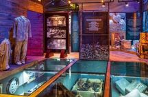 Jewish Tour With A Panoramic Sightseeing Of São Paulo – Private Tour
