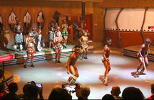 3 tours/ cradle human kind caves and Lesedi Cultural village 