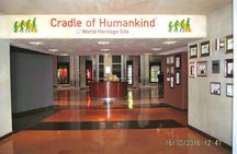 3 tours/ cradle human kind caves and Lesedi Cultural village 