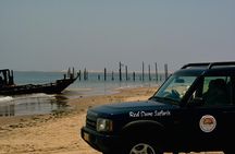 Highlights of Walvis Bay Guided 1/2 Day Tour (shore excursion)