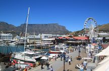 Cape Town Highlights & Hidden Gems: Private Tour with a Local