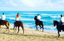 Punta Cana Beach Horseback Riding