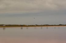 Sandwich Harbour- Guided Self-Drive Tour from Walvis Bay