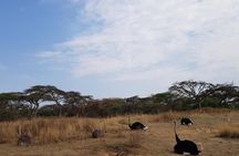 2 Days Ethiopian Rift Valley Lakes Tour from Addis Ababa
