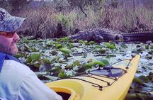 Orlando Alligator Experience