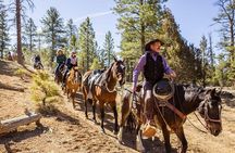 Ruby's Horseback Adventures Utah Thunder Mt. 4 Hour Ride