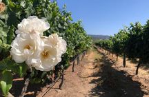 Private wine tour Casablanca valley