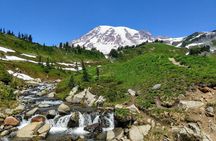Mount Rainier National Park Experience with Lunch