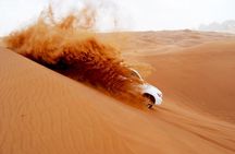 Dubai Morning Safari