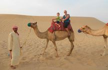 Dubai Morning Safari